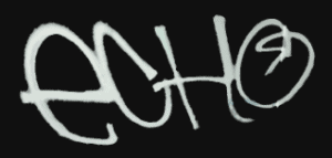 LogRhythm Echo Logo