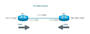 OSPF uses hello protocol to discover neighbors