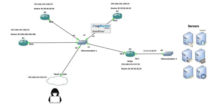 You can use NetMon in a single location to send OSPF LSA updates to all routers