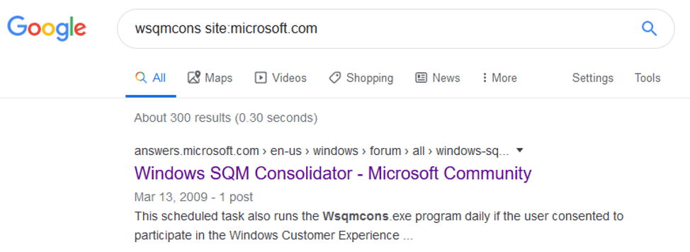 Figure 12: The search query for “Windows SQM Consolidator”